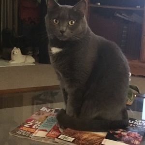 Meet your Posher, Cathy